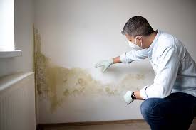 Mold Remediation for Vacation Homes in Swissvale, PA